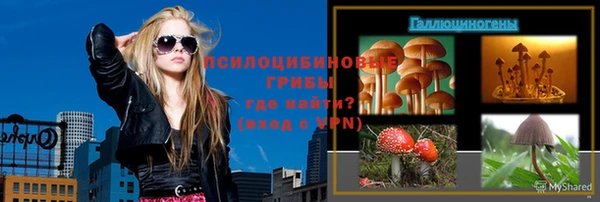 амф Богданович