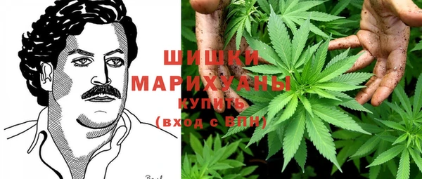 амф Богданович