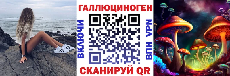 Галлюциногенные грибы MAGIC MUSHROOMS  где продают наркотики  Динская 